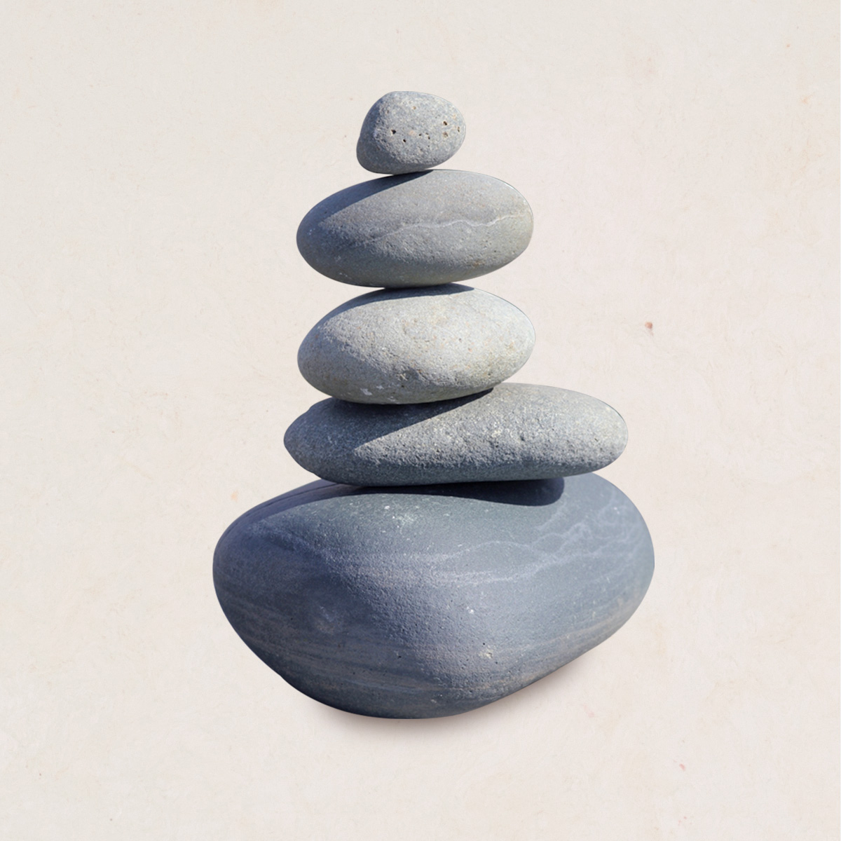 La conexión mente-cuerpo